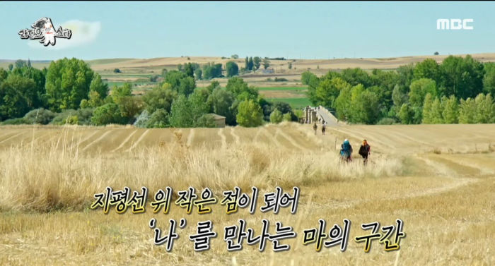 짤티비 - https://jjtv.kr