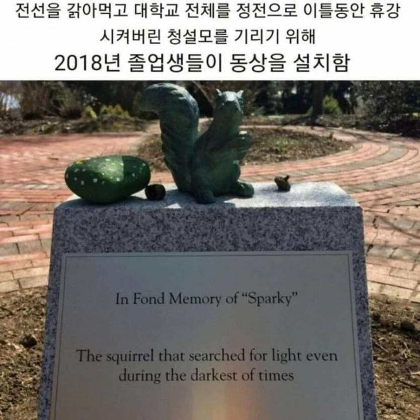진정한 람쥐썬더