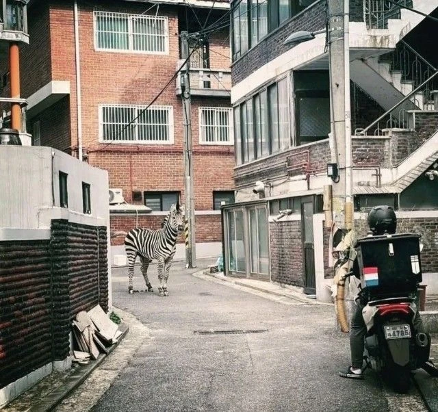 다시 봐도 믿기지 않는 장면 ㄹㅇ