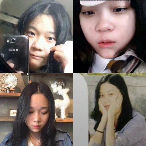 짤티비 - https://jjtv.kr