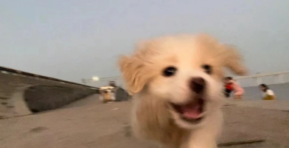 17079958262059.png