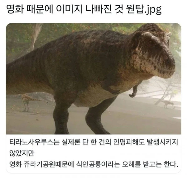 영화 때문에 이미지 나빠진 동물 원탑