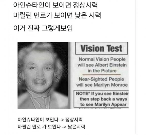 마릴린 먼로가 보이면 낮은시력