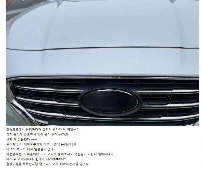 고속도로에서 로고 날라감