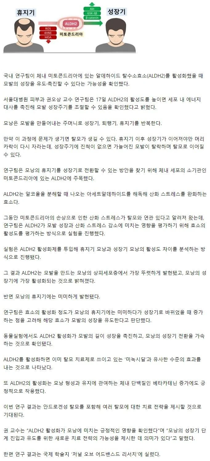 국내 연구팀 탈모 치료 가능성 제시