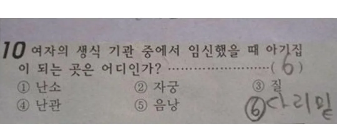 선생님을 당황시킨 기절초풍 초딩시험 답안지 모음#2