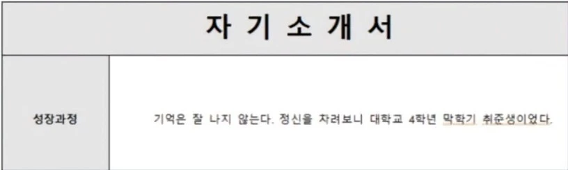 너무 현실적인 자소설 도입부