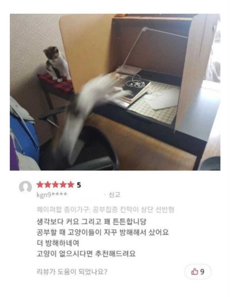 칸막이 후기
