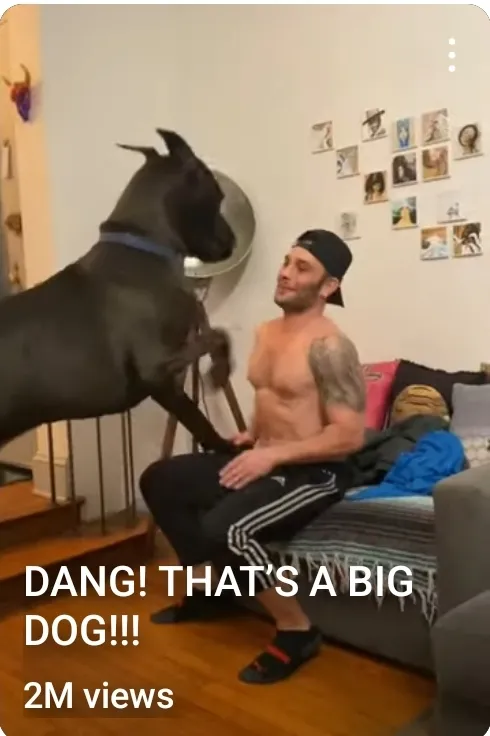 DANG! THATS A BIG DOG!!