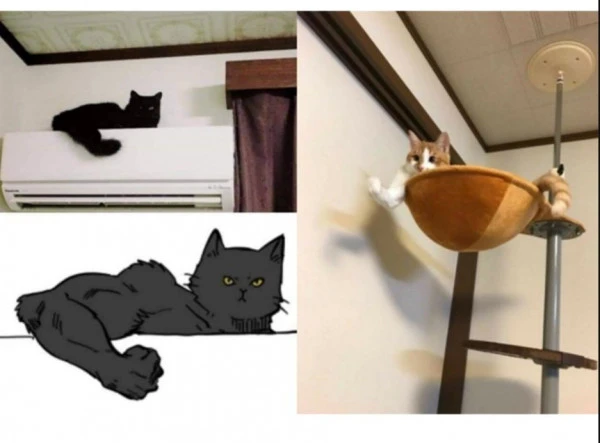 17077310075695.jpeg