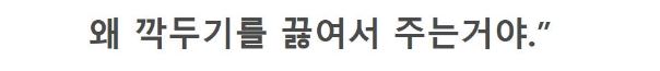 짤티비 - https://jjtv.kr
