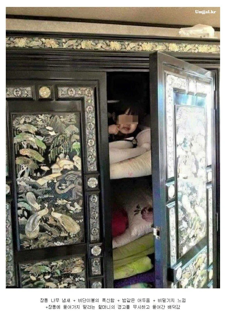 요즘 애들은 모르는 안락함