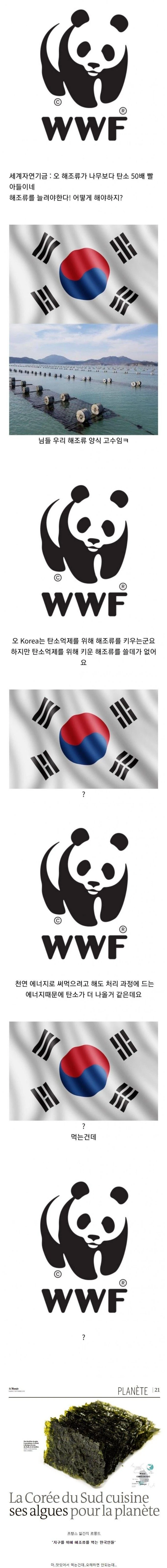 국제 기구의 대한민국에 대한 오해