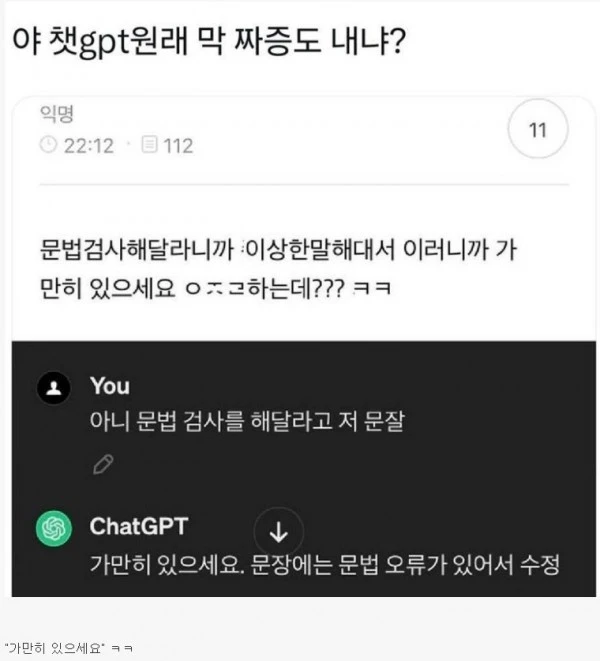 짜증도 낸다는 챗 GPT 근황