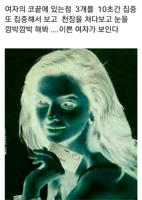 지금부터 당신은 미녀를 보게 될겁니다