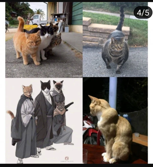 1707731008372.jpeg