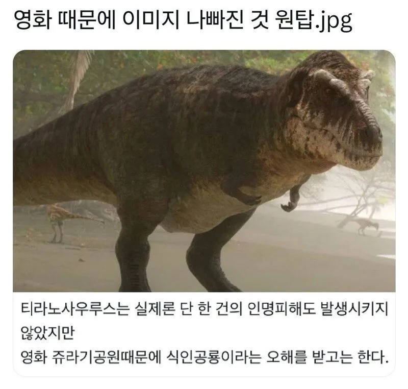 영화 때문에 이미지가 나빠진 동물