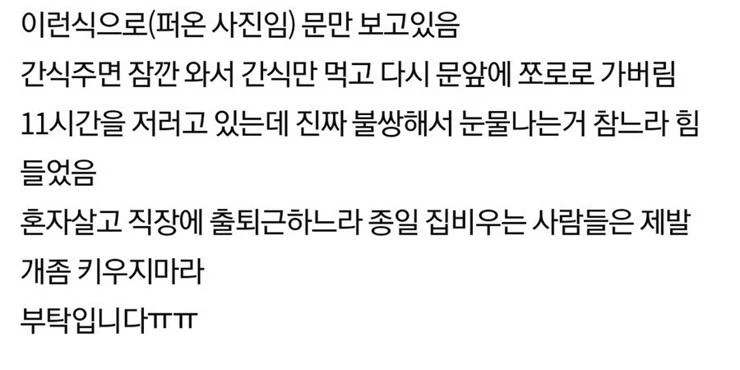 짤티비 - https://jjtv.kr