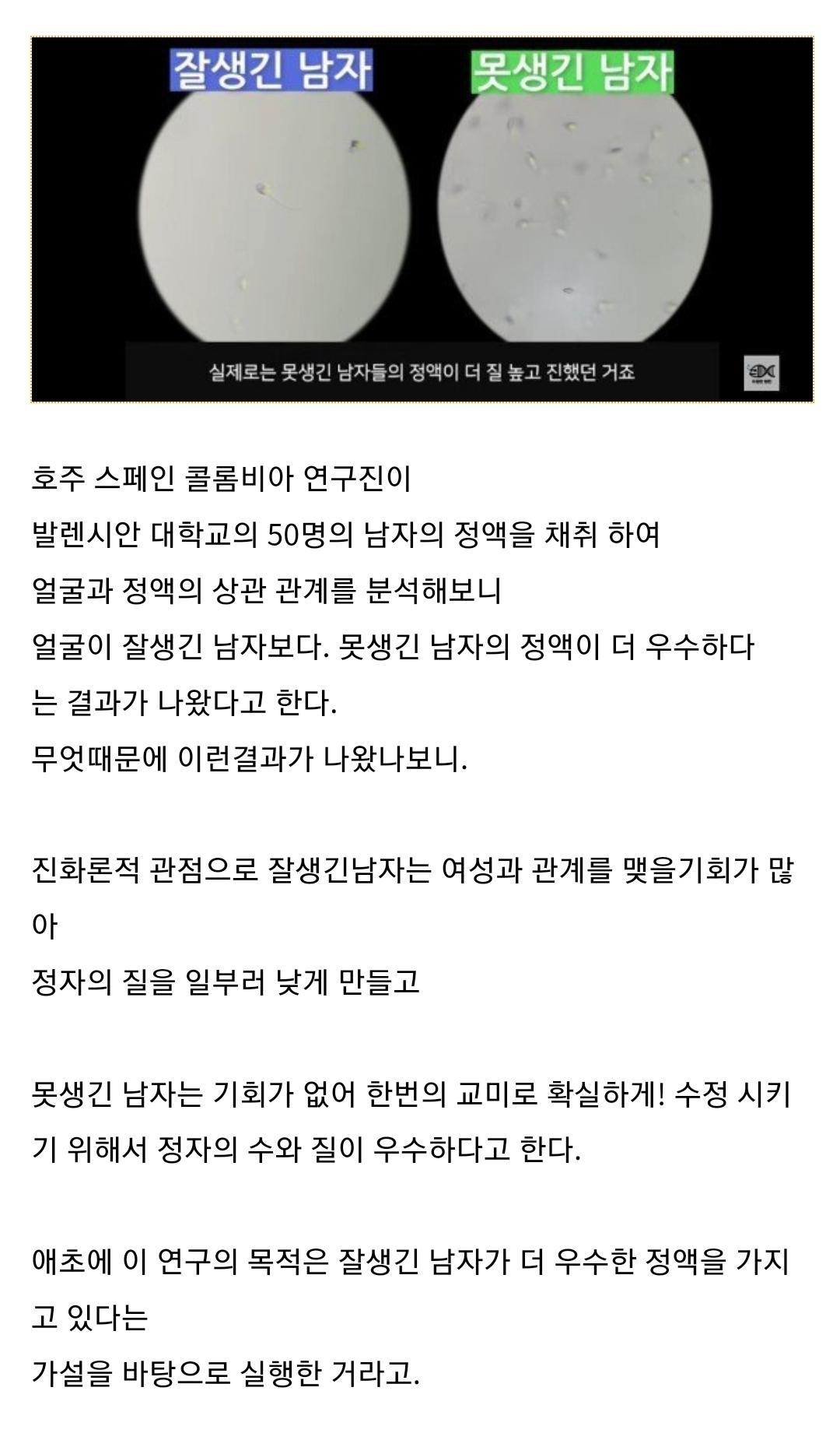 니가 정자왕인 이유