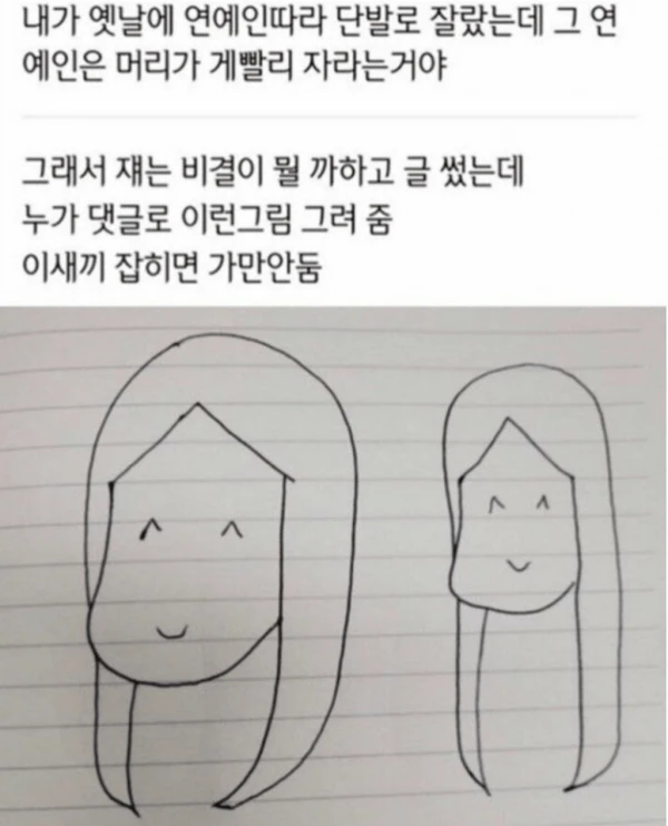 6af63b4640016176f2cd48ef452f8dda.png 연예인들 머리가 빨리 자라는 이유.jpg