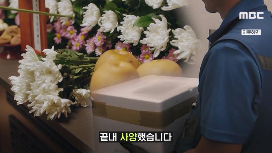 짤티비 - https://jjtv.kr
