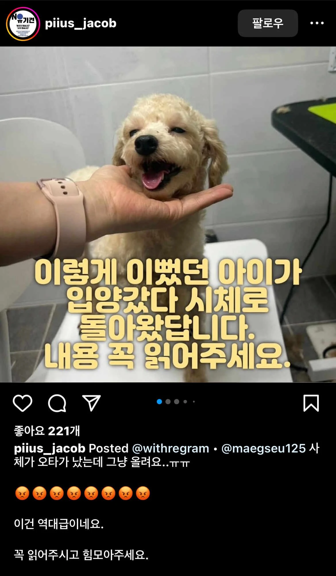 입양 100일도 안되서 사체로 돌아온 유기견