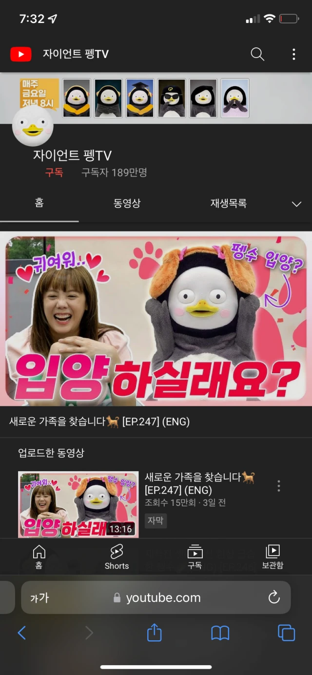 구독자 수 강제 공개된 펭수