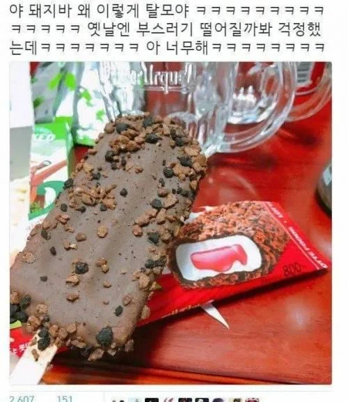 돼지바 근황