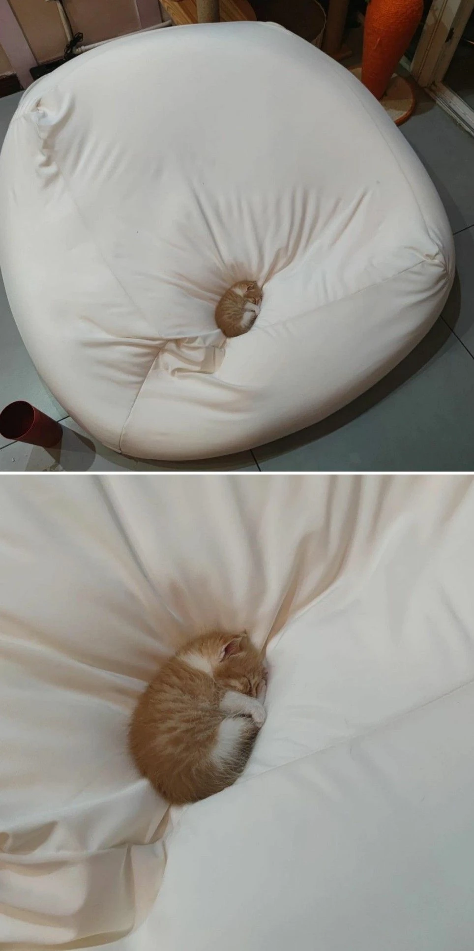 체격 대비 침대가 너무 크다
