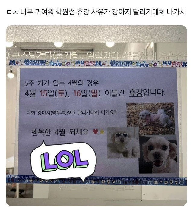싱글벙글 학원 쌤 휴강 사유