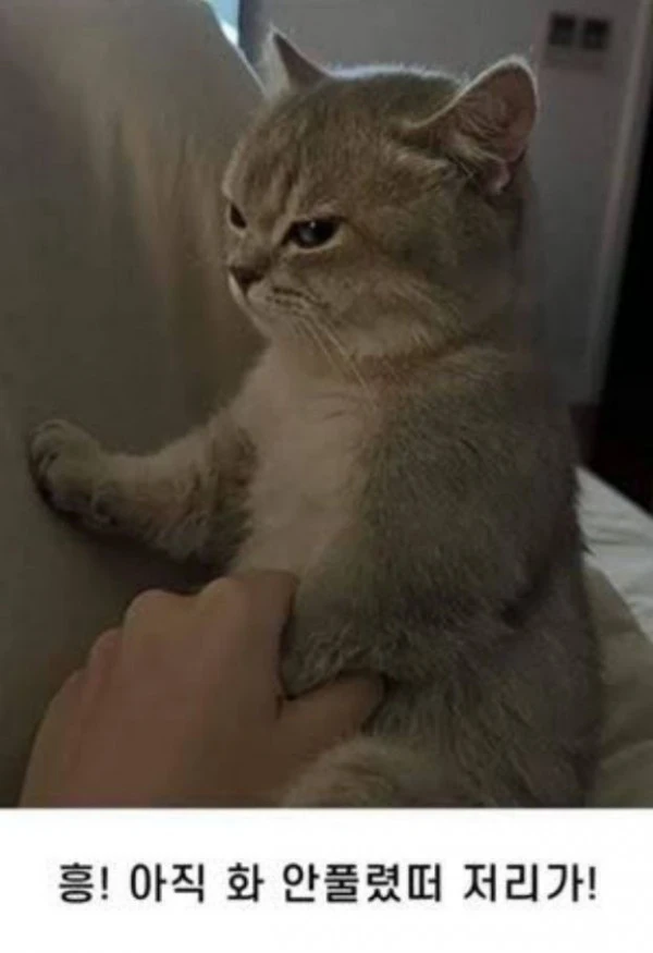 17080513834447.jpeg