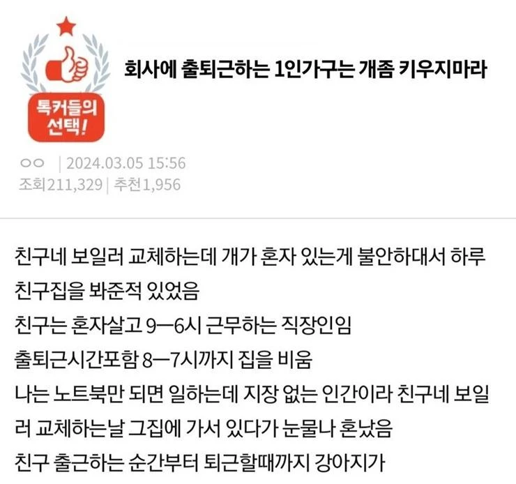 회사에 출퇴근하는 1인 가구는 개 좀 키우지 마라