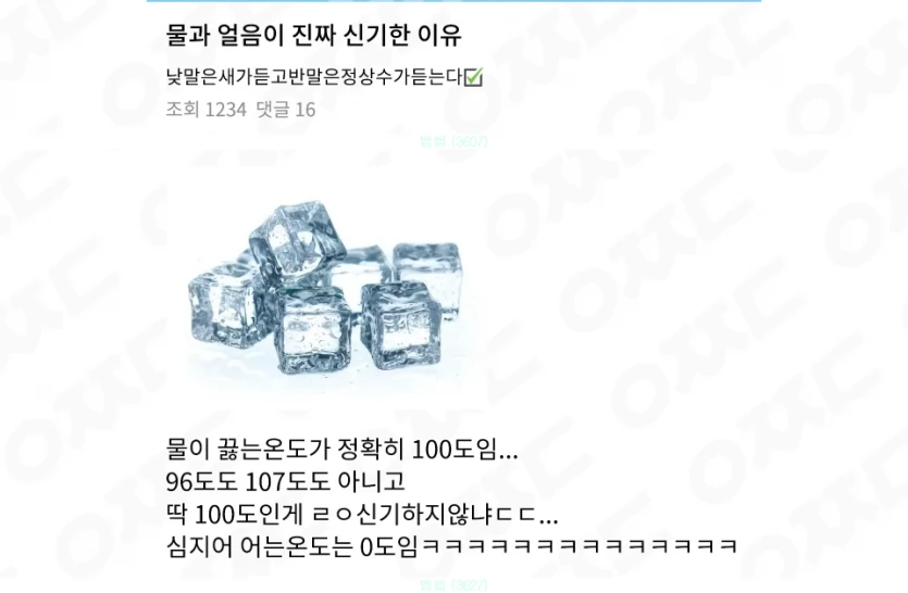 해맑은 네티즌