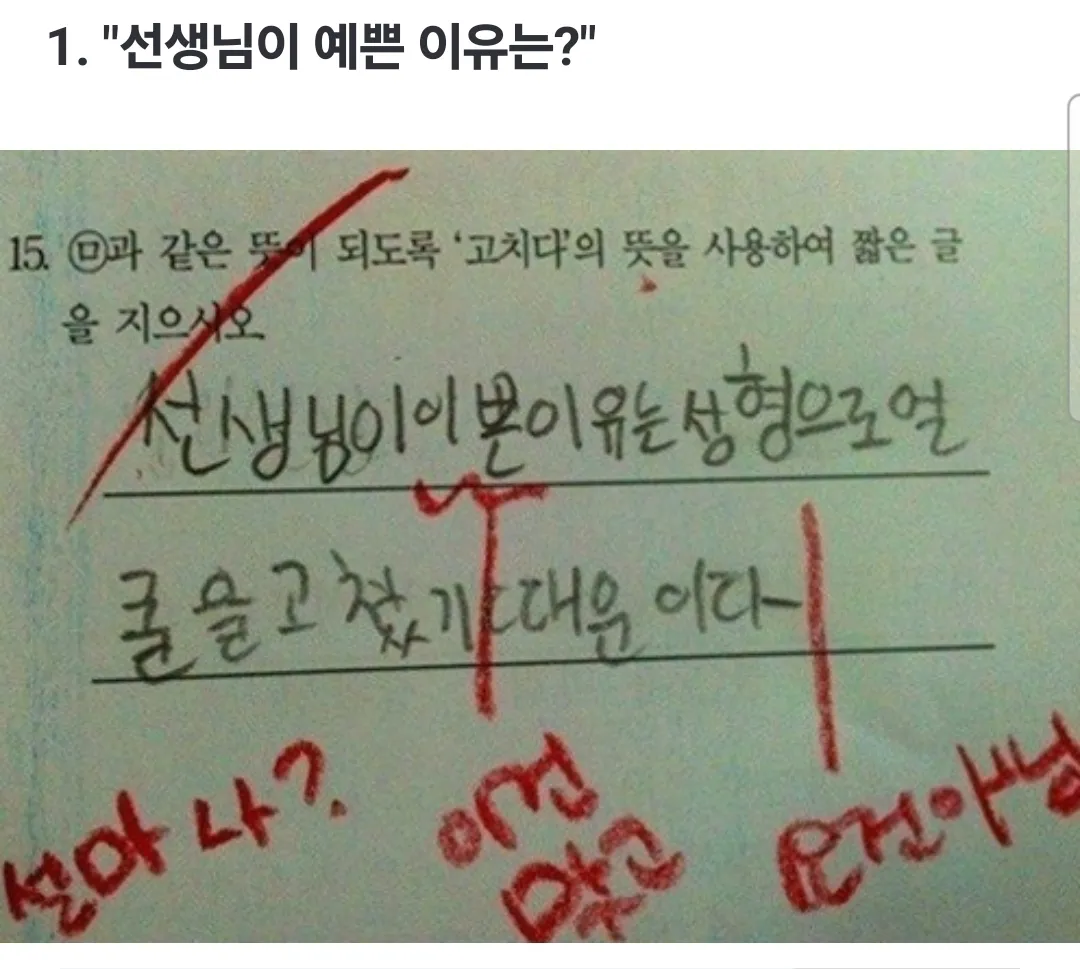 선생님을 당황시킨 기절초풍 초딩시험 답안지 모음#3