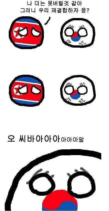 남한 입장에서 북한 붕괴가 ㅈ같은 찐 가불기인 이유