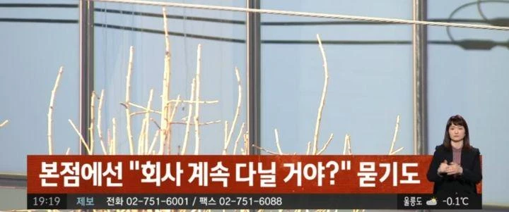 짤티비 - https://jjtv.kr