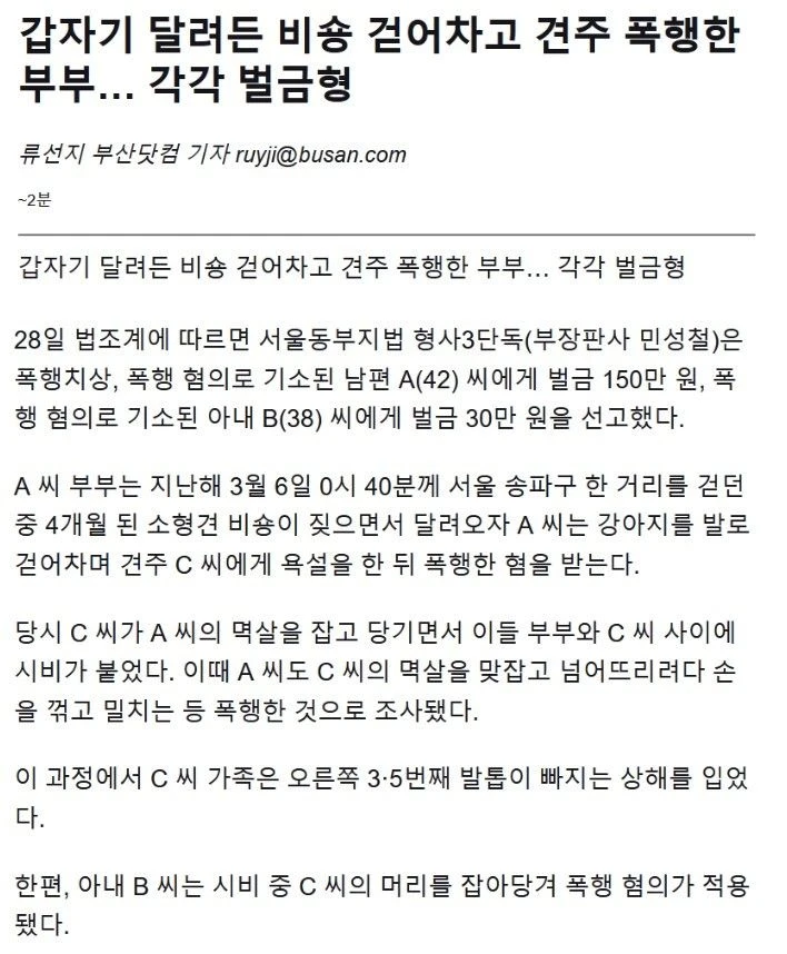 갑자기 달려든 비숑 걷어차고 견주 폭행한 부부