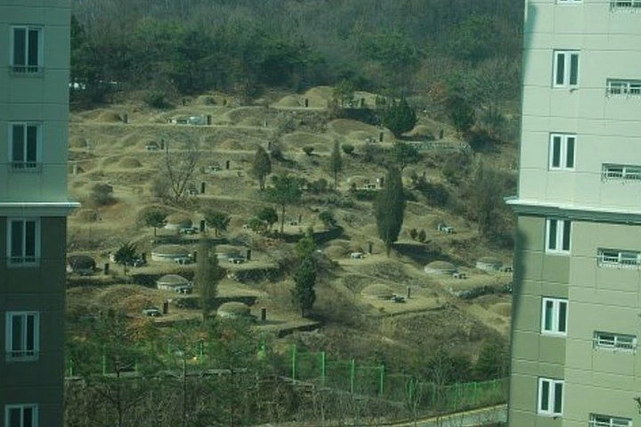 논란의 무덤 뷰, 조상복합아파트