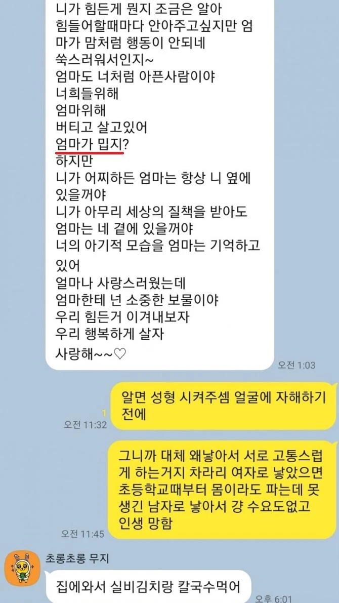 짤티비 - https://jjtv.kr