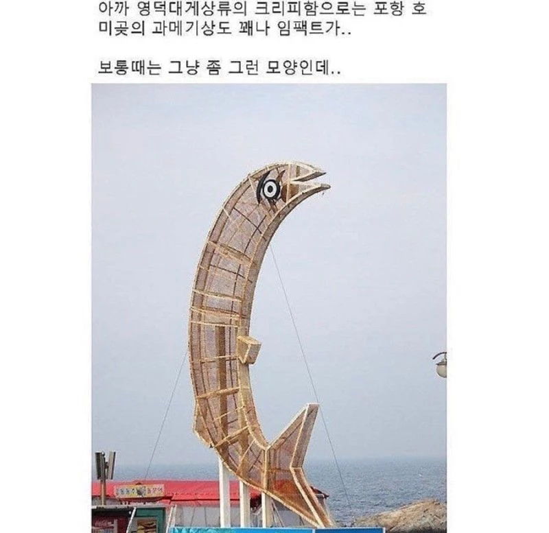 밤에는 흑화하는 과메기