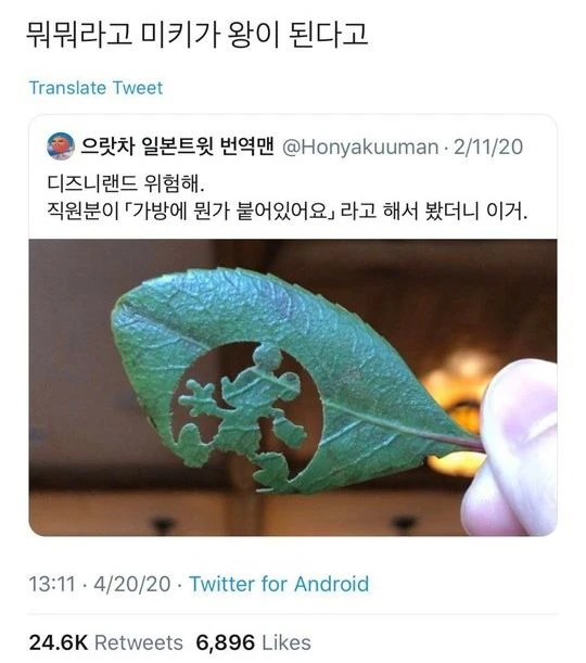 한국인들만 다르게 해석하는 디즈니랜드 깜짝선물