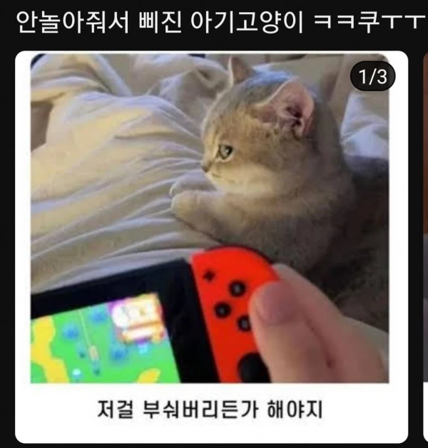삐진 냥냥이