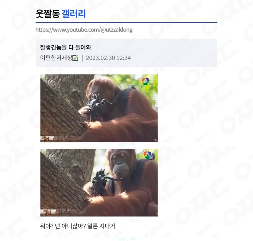 잘생긴놈들 다 들어와