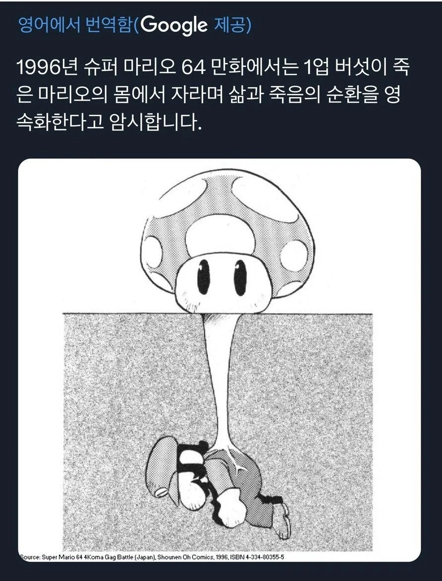 충격의 슈퍼마리오 버섯 정체