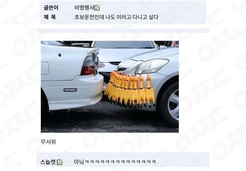 이것은 무슨 광기 인가요