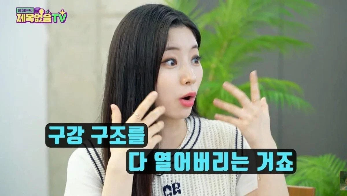 짤티비 - https://jjtv.kr
