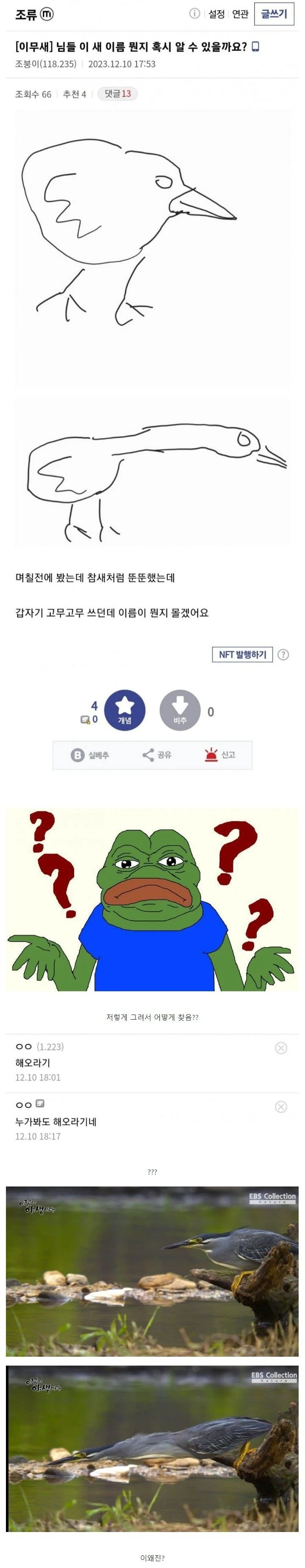 진짜 전문가 포스 나오는 조류 갤러리