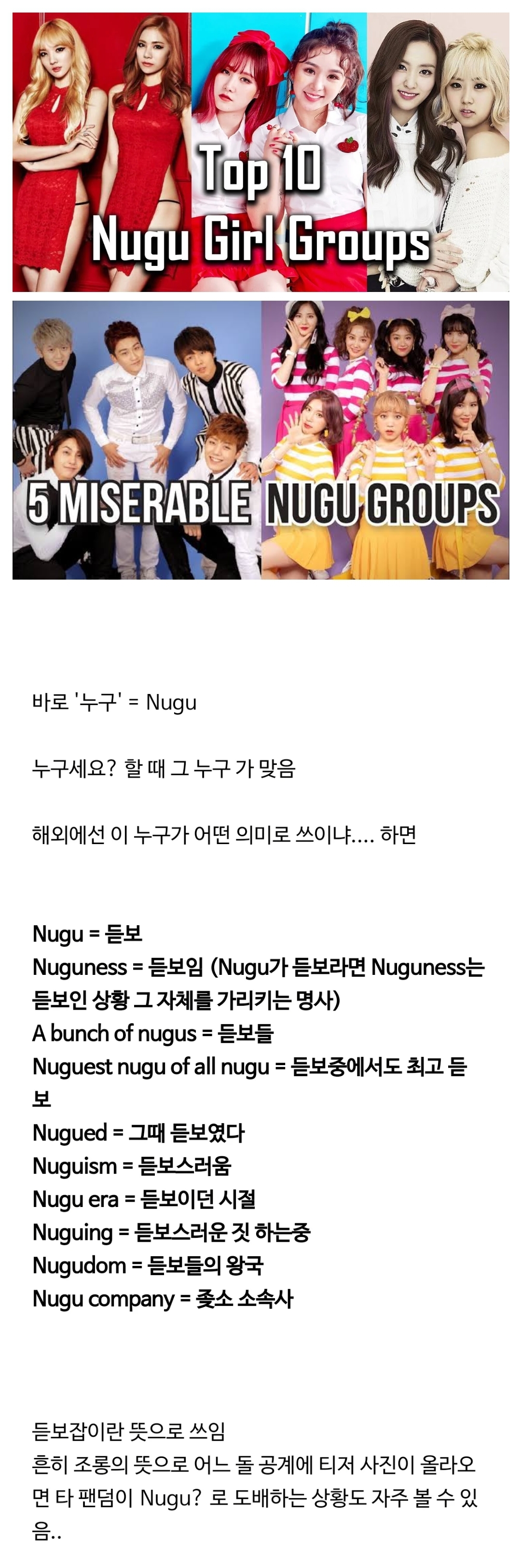해외 K-POP 팬들에게 뜻이 변질되어 쓰이는 한국어