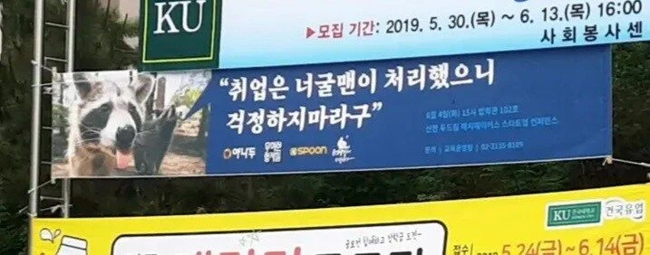 최근 취업이 어려운 이유
