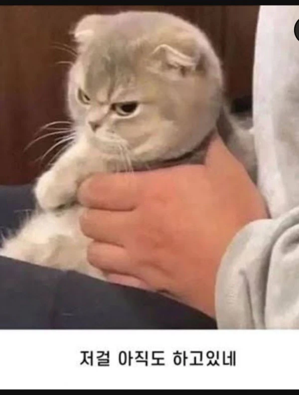 17080513827415.jpeg